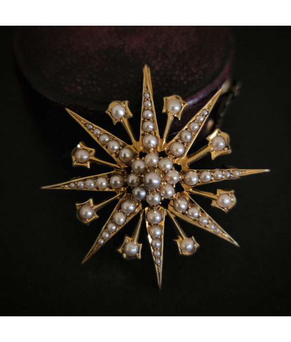 Victorian Pearl Starburst Pendant in 15c...