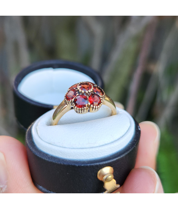 Garnet Daisy Ring in 9K Yellow Gold Garnet Daisy Ring in 9K Yellow Gold