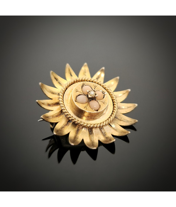 Edwardian Coral and Pearl Flower Brooch in 18K Gold Edwardian Coral and Pearl Flower Brooch in 18K Gold