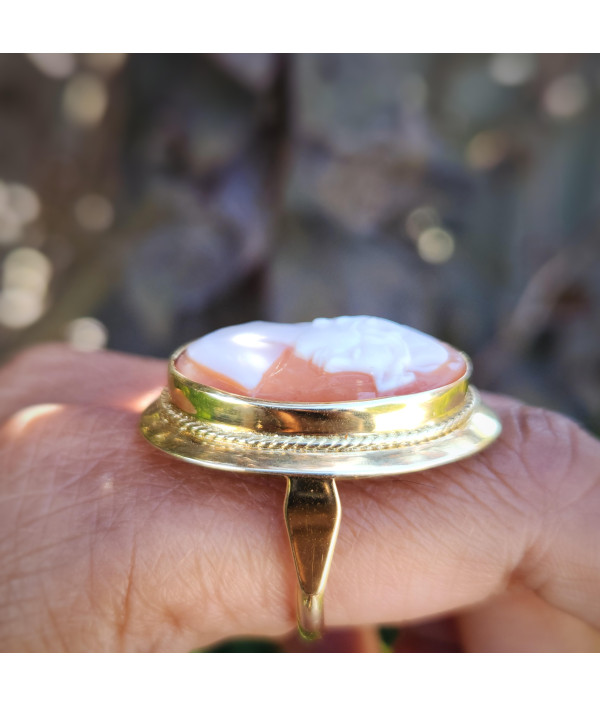 Vintage Large Statement Shell Cameo Ring in 14K Yellow Gold Vintage Large Statement Shell Cameo Ring in 14K Yellow Gold