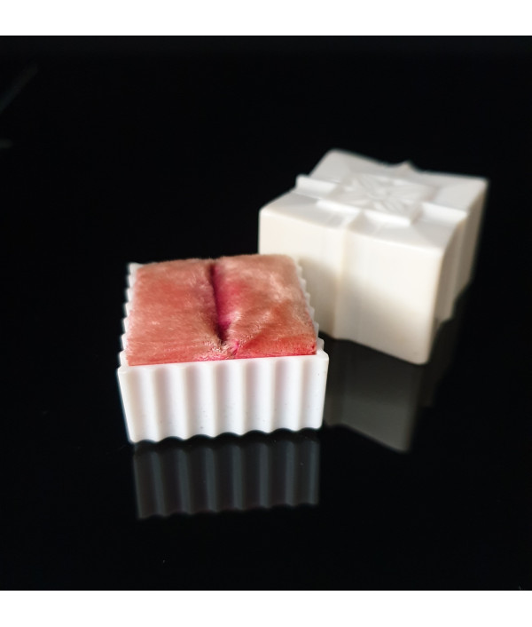 ART DECO CELLULOID RING DISPLAY BOX WITH PEACH VELVET LINING ART DECO CELLULOID RING DISPLAY BOX WITH PEACH VELVET LINING